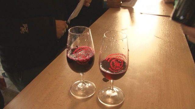 Svätomartinské otváranie mladých vín v Skalici