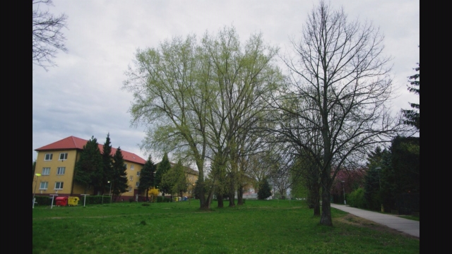 Mestská rada 2016/2 Mestská rada 2016/2