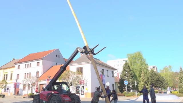 Stavanie mája v Brezovej