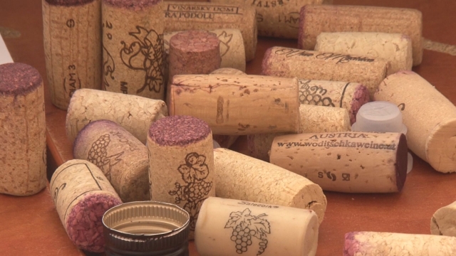 Celoslovenská výstava vín v Skalici sa blíži