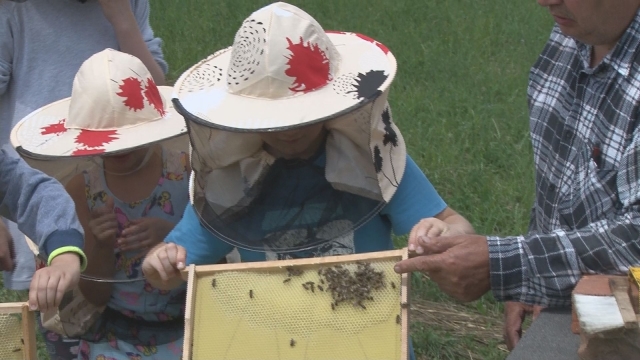 Deti zo ZŠ Štúrova navštevovali včelársky krúžok