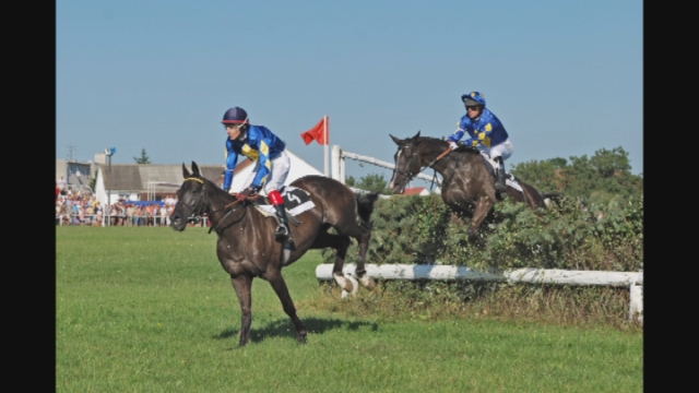Pozvánky SENO 2014/33 Pozvánky SENO 2014/33