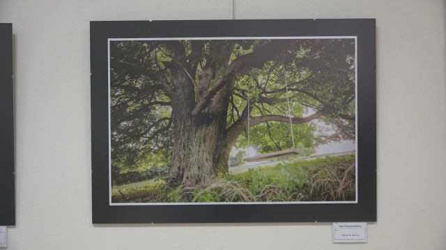 Výstava Fotoklubu Lumen