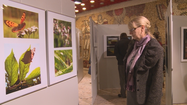 20. výstava fotoklubu Retina 20. výstava fotoklubu Retina