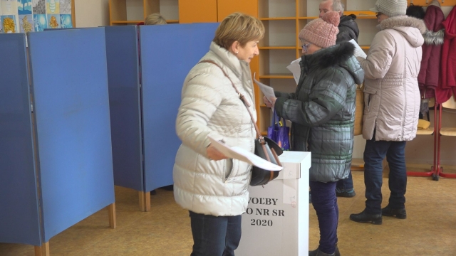 Parlamentné voľby 2020 v Brezovej pod Bradlom