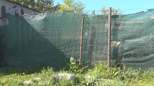 Útulok CERBERUS v Senici spustil kampaň na nové oplotenie